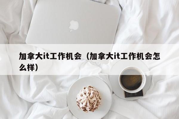 加拿大it工作机会（加拿大it工作机会怎么样）