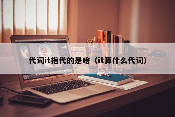 代词it指代的是啥（it算什么代词）