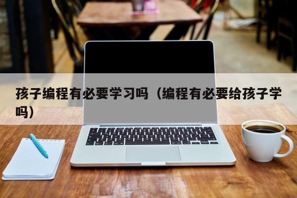 孩子编程有必要学习吗（编程有必要给孩子学吗）