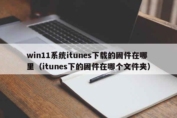 win11系统itunes下载的固件在哪里（itunes下的固件在哪个文件夹）