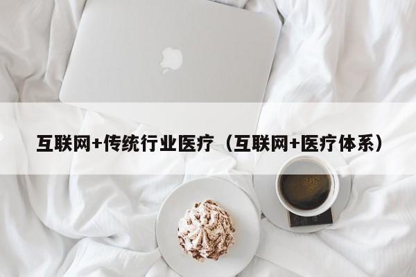 互联网+传统行业医疗（互联网+医疗体系）