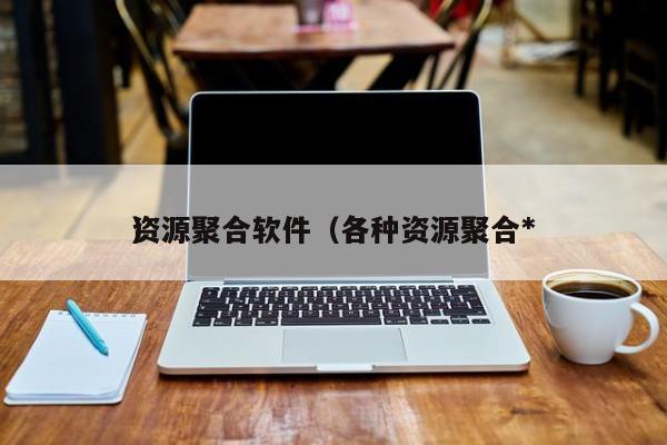 资源聚合软件（各种资源聚合*
）