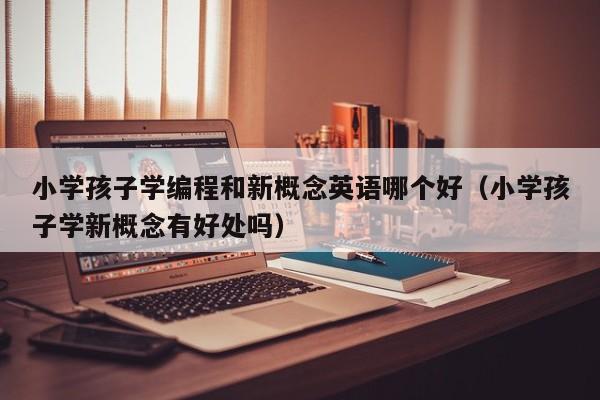 小学孩子学编程和新概念英语哪个好（小学孩子学新概念有好处吗）