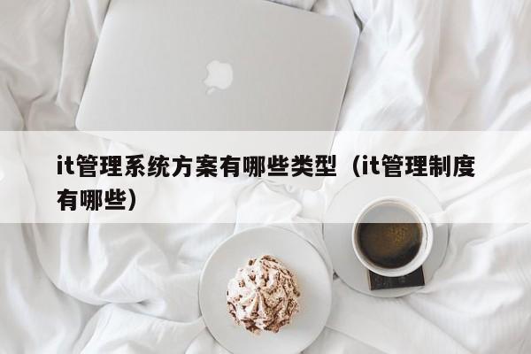 it管理系统方案有哪些类型（it管理制度有哪些）