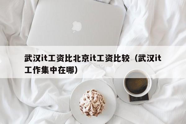 武汉it工资比北京it工资比较（武汉it工作集中在哪）