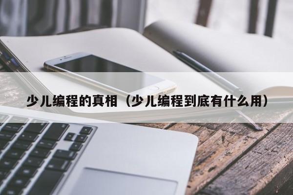 少儿编程的真相（少儿编程到底有什么用）