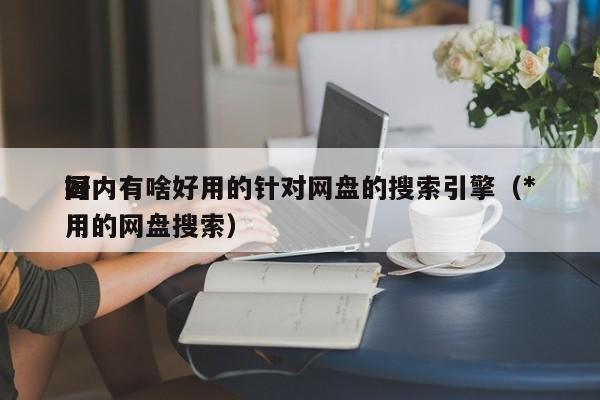 国内有啥好用的针对网盘的搜索引擎（*
好用的网盘搜索）