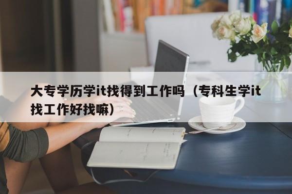 大专学历学it找得到工作吗（专科生学it找工作好找嘛）