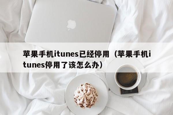 苹果手机itunes已经停用（苹果手机itunes停用了该怎么办）