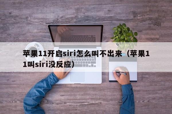 苹果11开启siri怎么叫不出来（苹果11叫siri没反应）