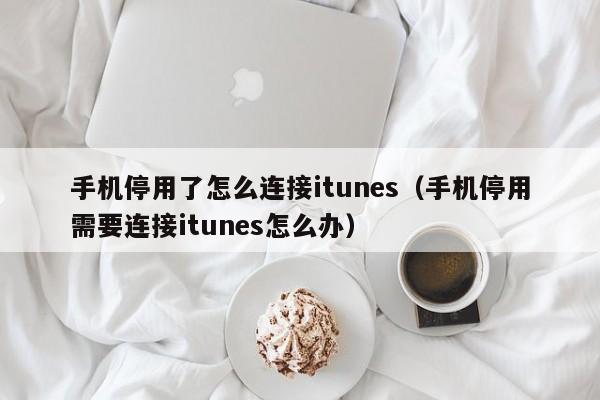 手机停用了怎么连接itunes（手机停用需要连接itunes怎么办）