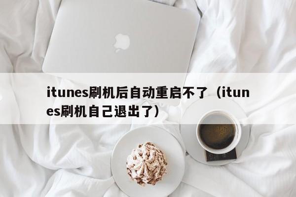 itunes刷机后自动重启不了（itunes刷机自己退出了）