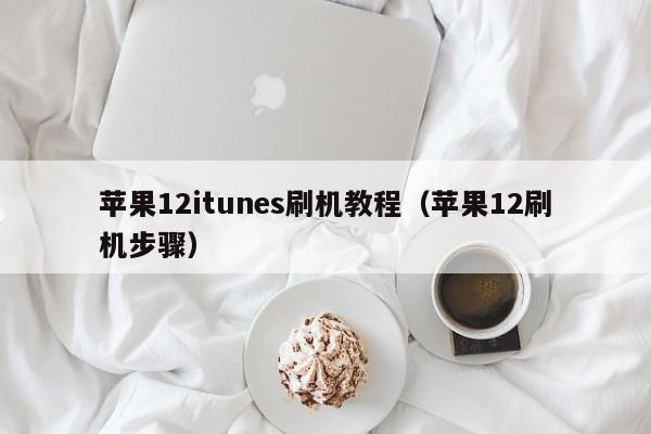 苹果12itunes刷机教程（苹果12刷机步骤）