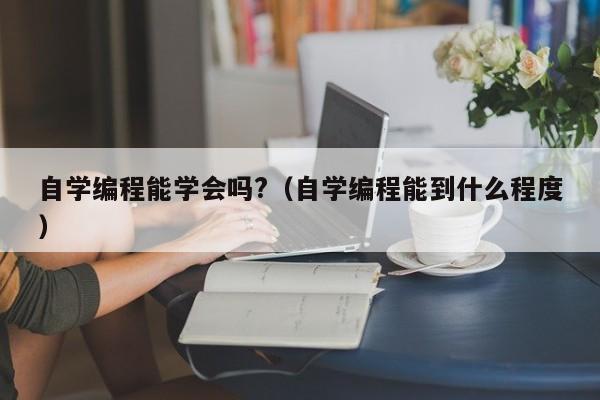 自学编程能学会吗?（自学编程能到什么程度）