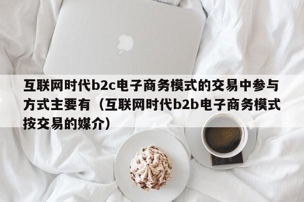 互联网时代b2c电子商务模式的交易中参与方式主要有（互联网时代b2b电子商务模式按交易的媒介）