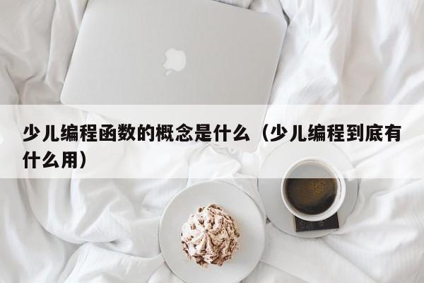 少儿编程函数的概念是什么（少儿编程到底有什么用）