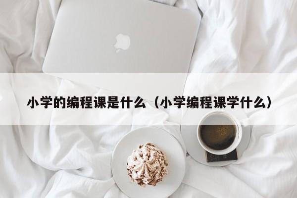 小学的编程课是什么(小学编程课学什么)