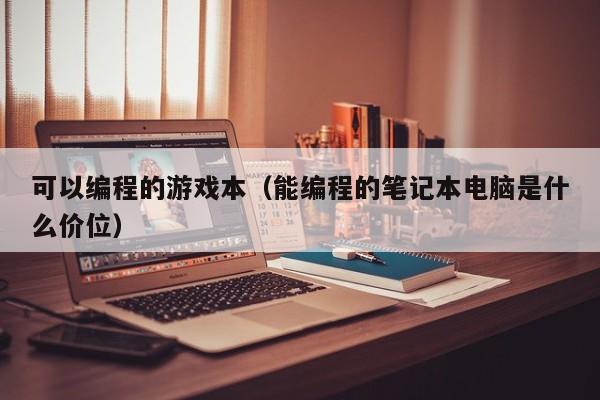 可以编程的游戏本(能编程的笔记本电脑是什么价位)