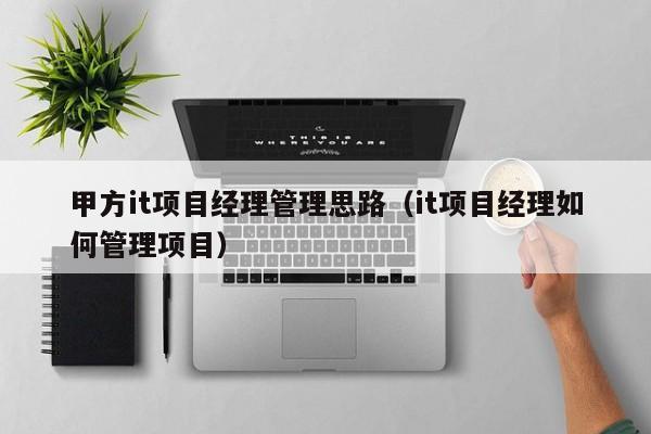 甲方it项目经理管理思路(it项目经理如何管理项目)