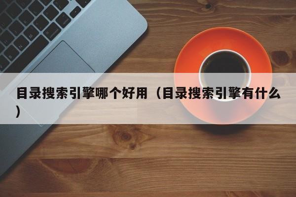 目录搜索引擎哪个好用(目录搜索引擎有什么)
