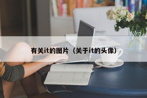 有关it的图片(关于it的头像)