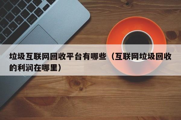 垃圾互联网回收平台有哪些(互联网垃圾回收的利润在哪里)