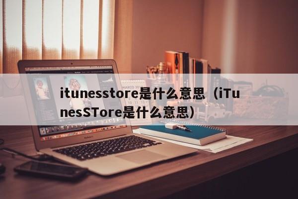 itunesstore是什么意思（iTunesSTore是什么意思）