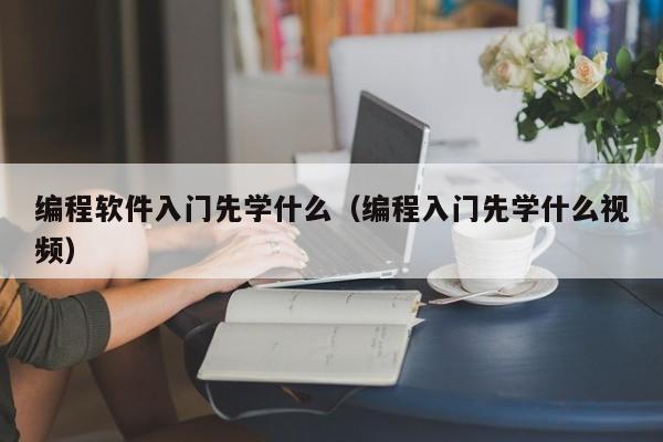 编程软件入门先学什么(编程入门先学什么视频)